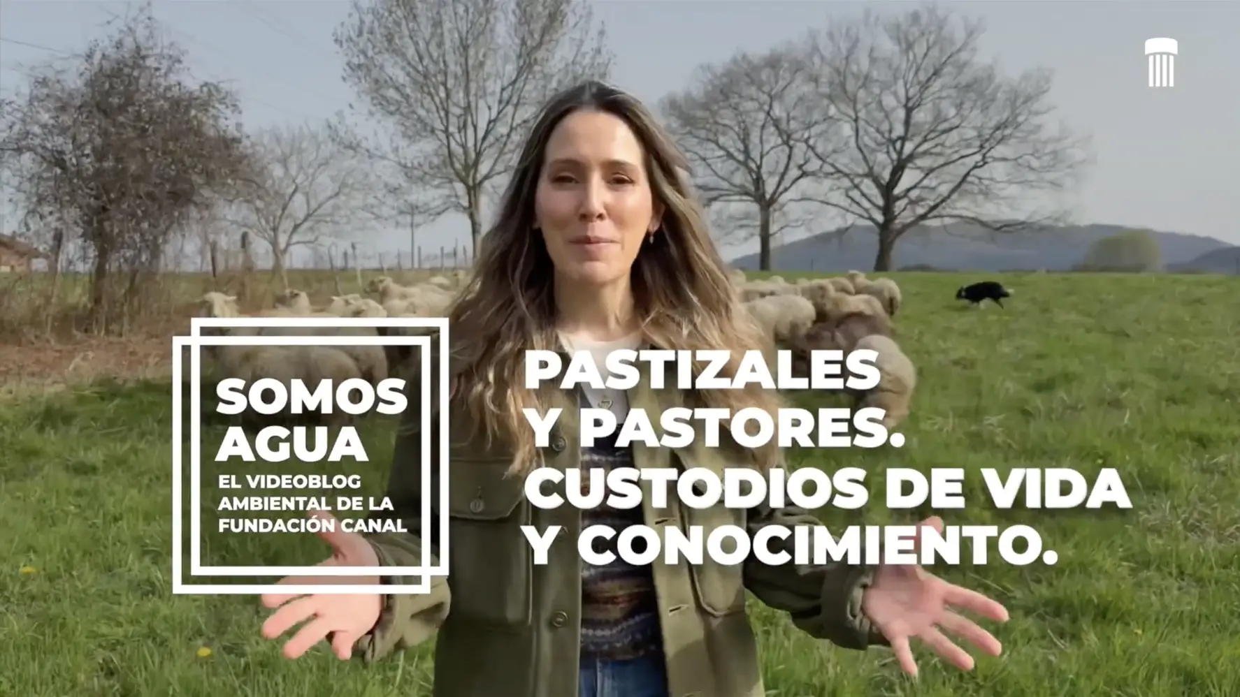 pastizales y pastores